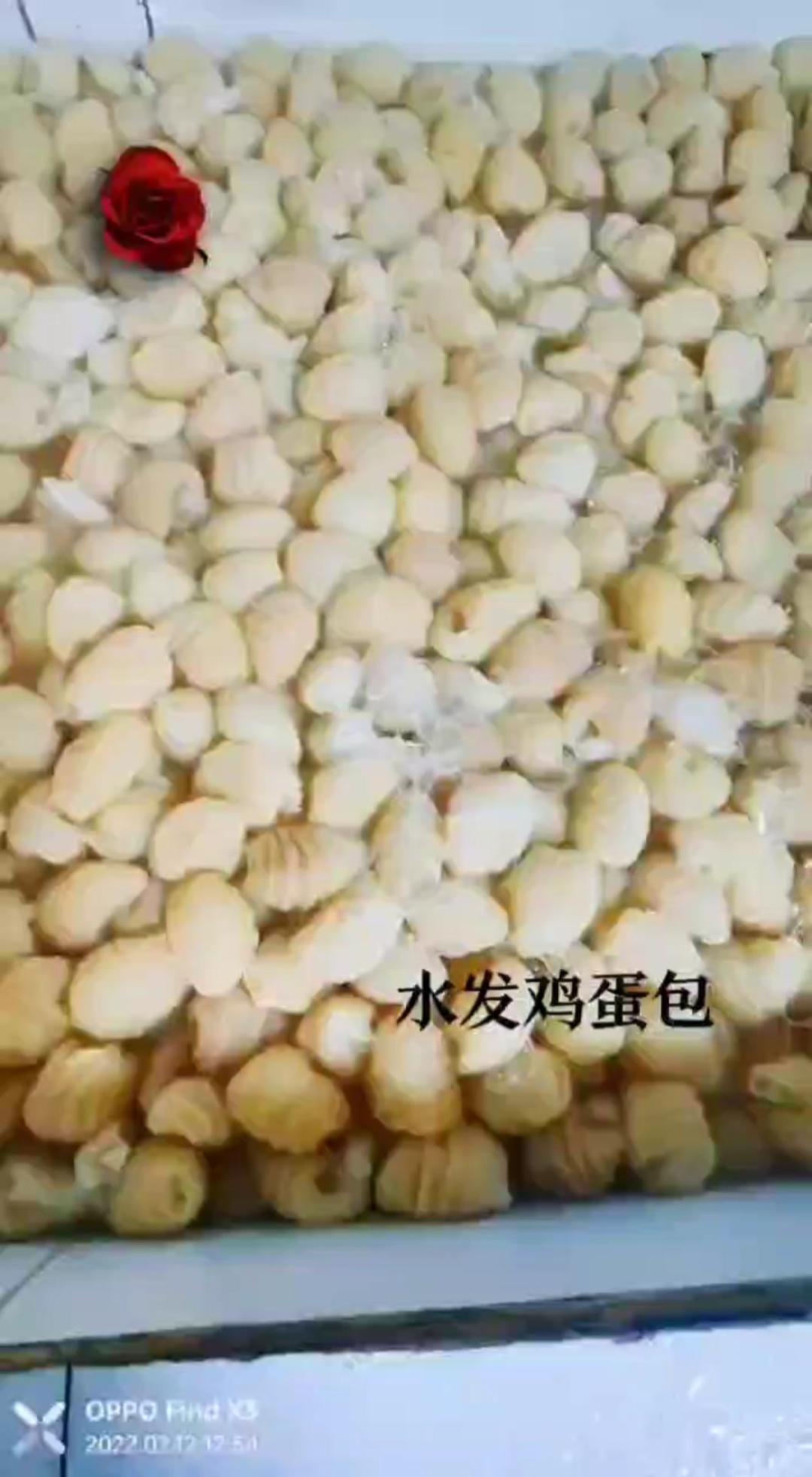 視頻預(yù)覽